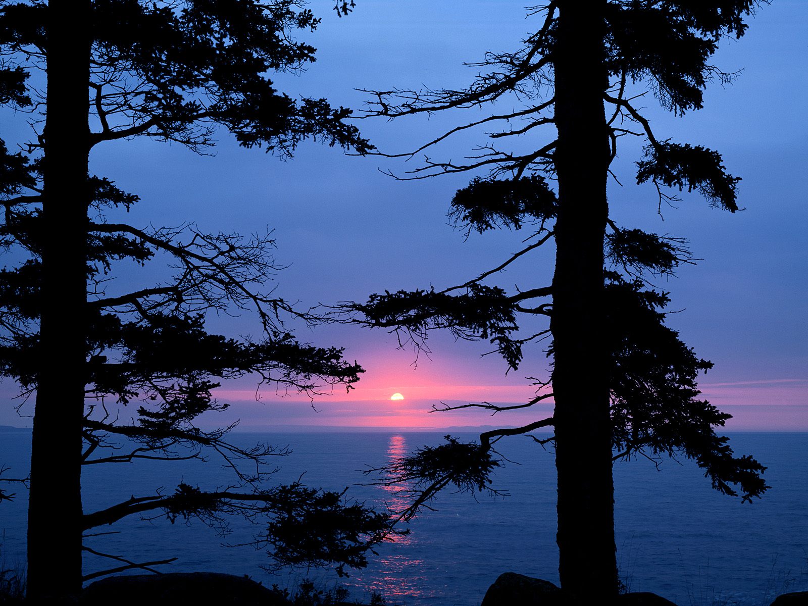 Atlantic Sunrise, Acadia National Park, Maine