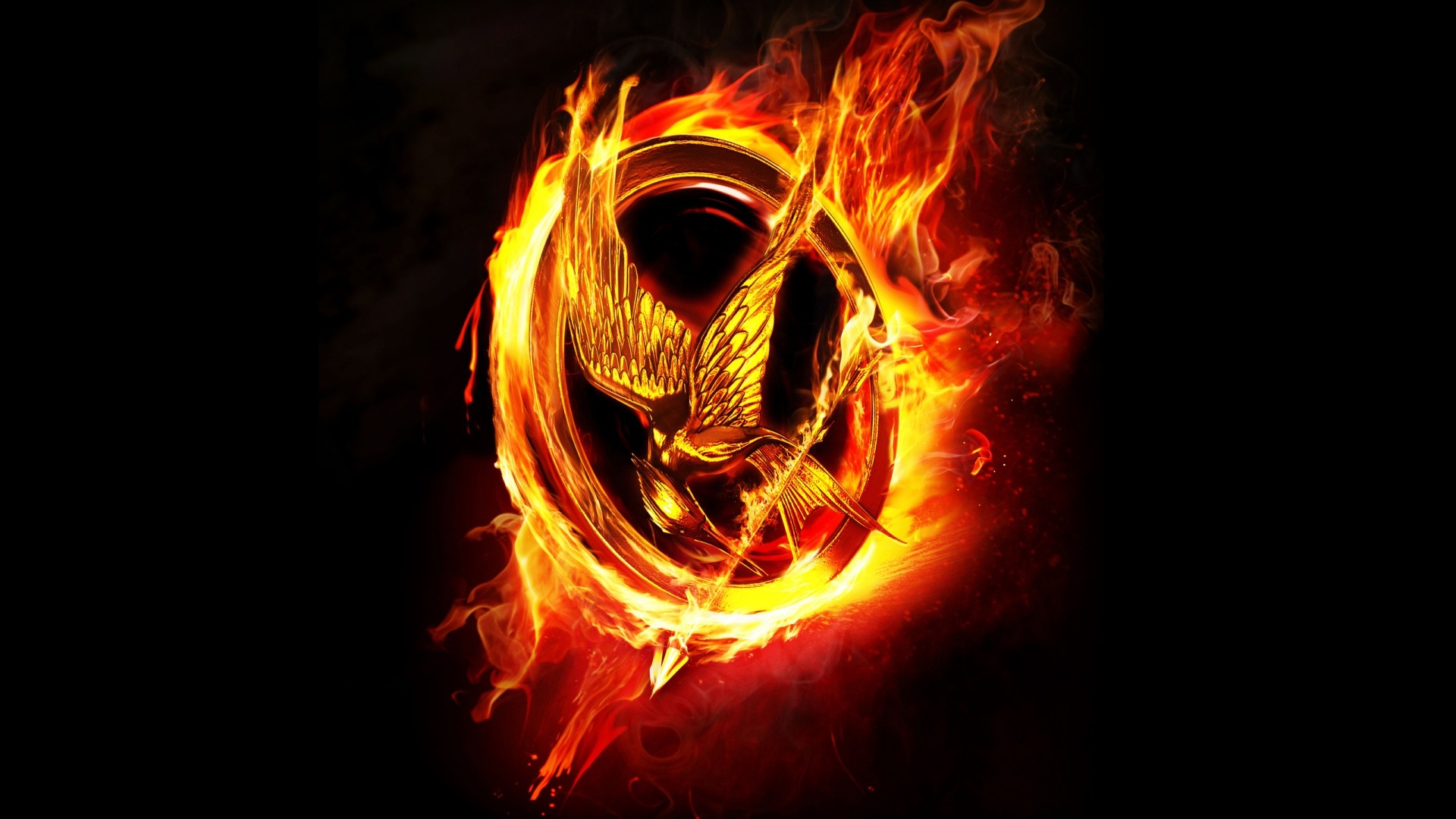 Catching Fire (4)