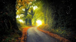 Country lane in autumn