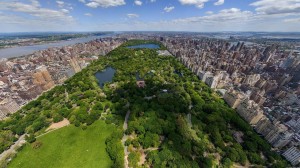 Gorgeous panorama of central park