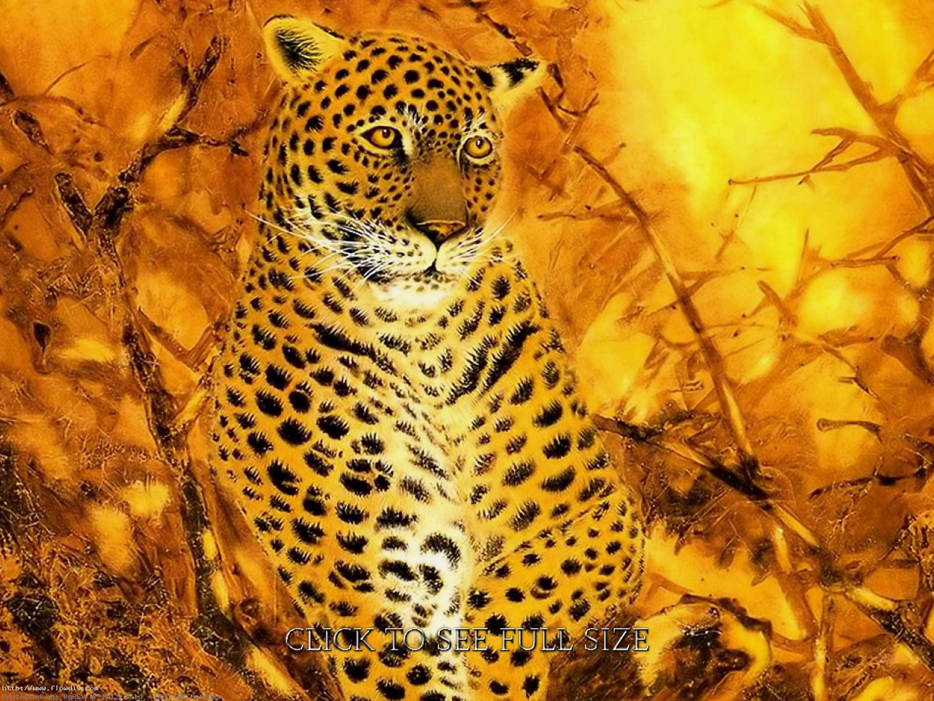 Fantasy Art Animal Leopard