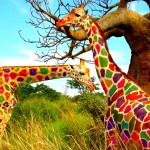 Giraffe Colored