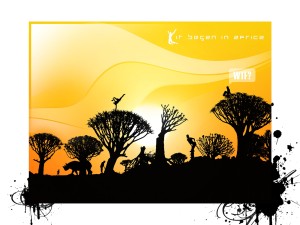 Nature HD sunset light