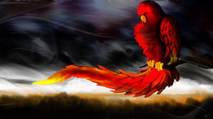 Parrot cool