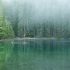 nature light&dark HD wallpaper