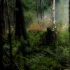 nature lake HD wallpaper